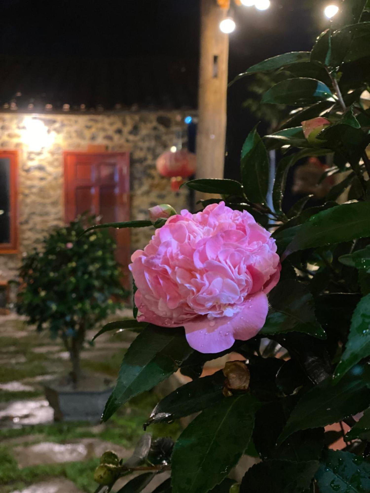 Lan Rung Homestay Lung Nieo Екстериор снимка